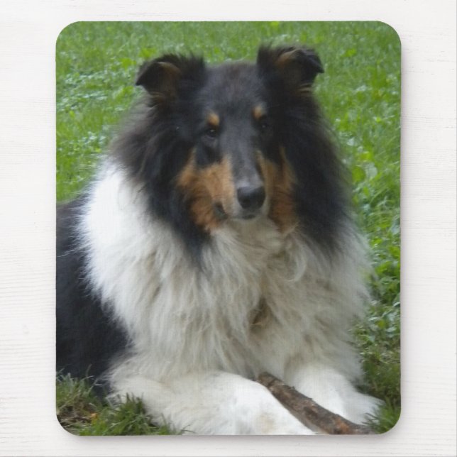 Rough Collie Mouse pad (Front)