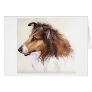 Rough Collie Painted in Watercolour