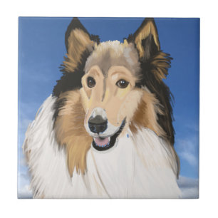 Rough Collie Portrait against blue sky Tile