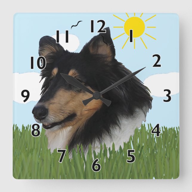 Rough Collie Portriat Square Wall Clock (Front)