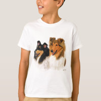 Rough Collie