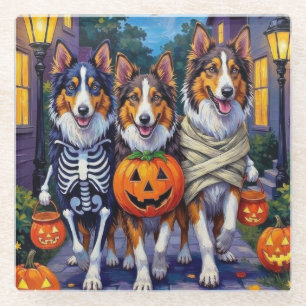 Rough Collie Trick-or-Treating Halloween Costumes Glass Coaster