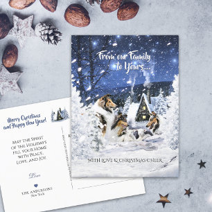 Rough Collies & Lamb in Christmas Night - Holiday Postcard