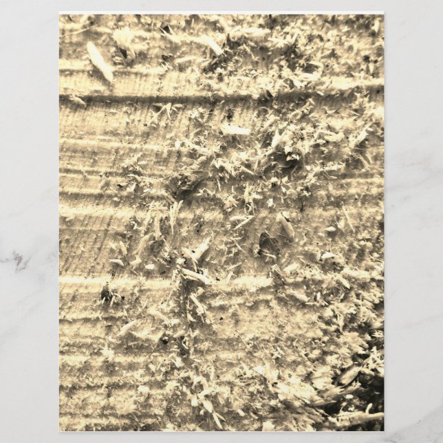 Rough Cut Paper Custom Letterhead (Front)