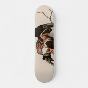 Rough-legged Falcon Birds of America Audubon Print Skateboard