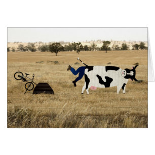 Rough Riding