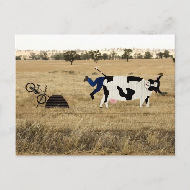 Rough Riding Postcard (Front)