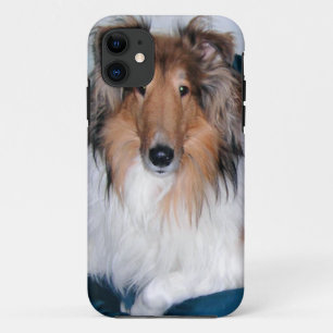 Rough Sable Collie iPhone 5 Case