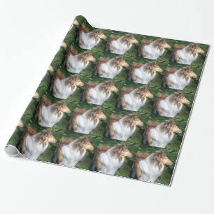 Rough Sable Collie Wrapping Paper