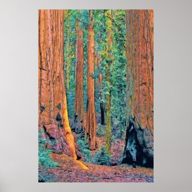 roughtrees24 poster (Front)