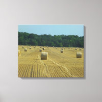 Round Bales