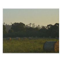 Round Bales