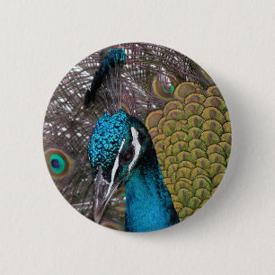 Round Button