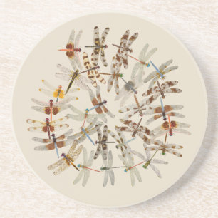 Round Coasters of Dragonflies