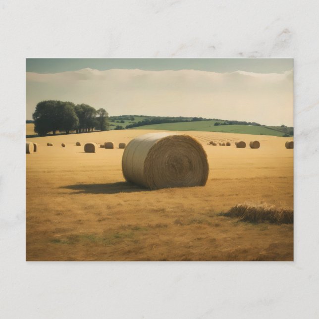 Round hay bale in field daytime postcard (Front)