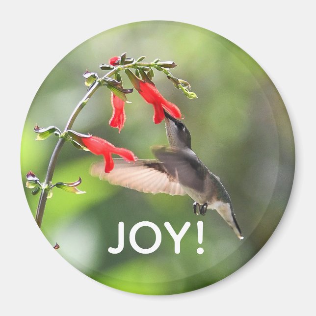Round Hummingbird Magnet (Front)