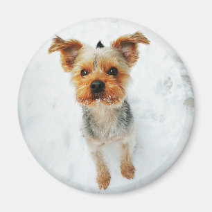Round Magnet