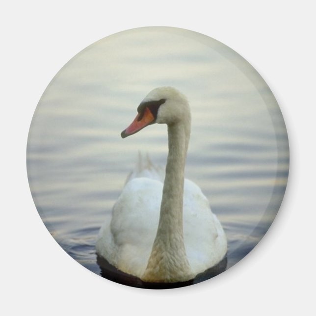 Round Magnet (Front)