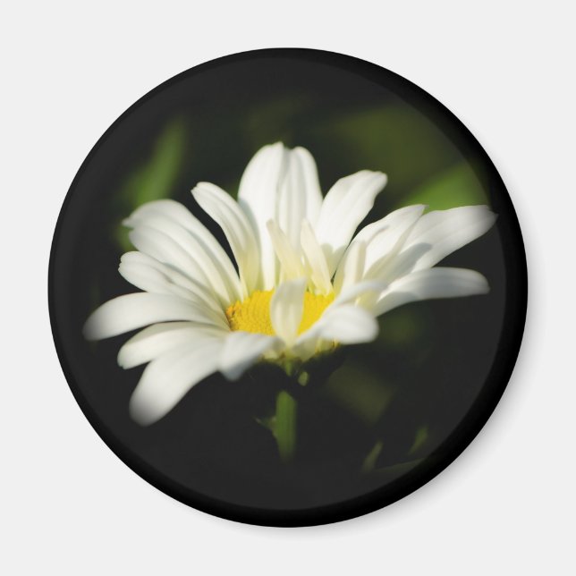 Round Magnet Template (Front)