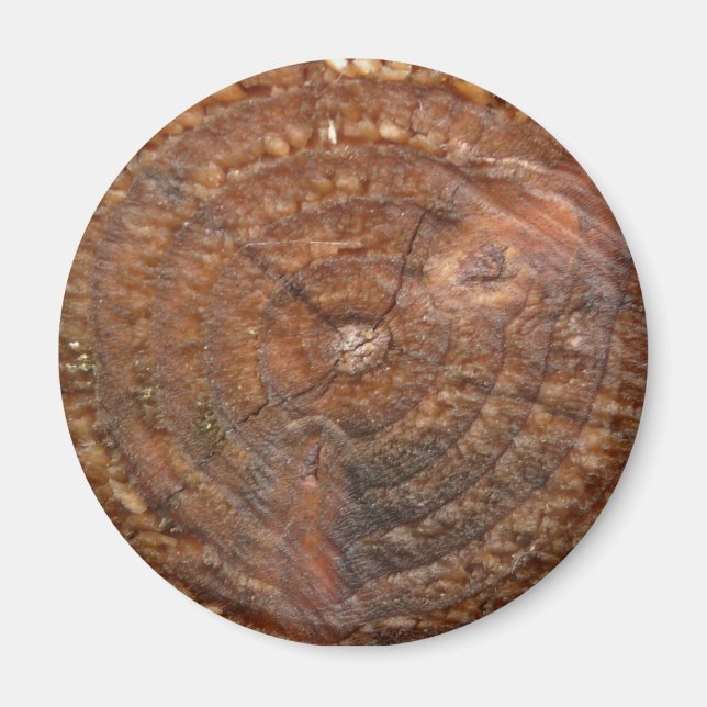 Round magnet with wood pattern. Cross section tree (Front)