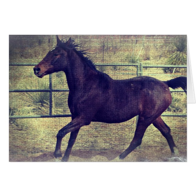 Round Pen Horse (Front Horizontal)