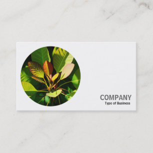Round Photo - Colourful Sunlit Leaves Business Card