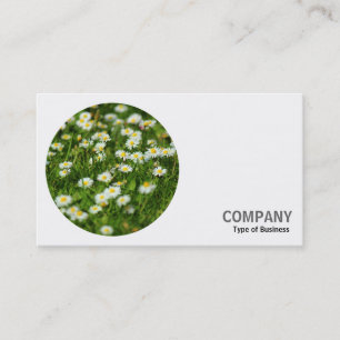 Round Photo - Daisies Business Card