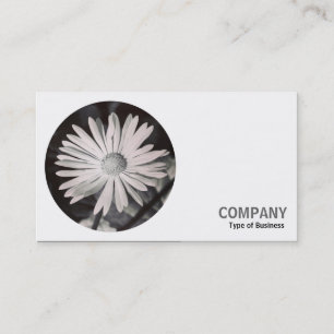 Round Photo - Daisy B&W Business Card