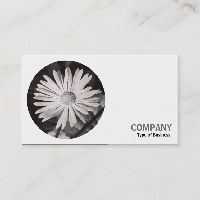 Round Photo - Daisy B&W Business Card (Front)