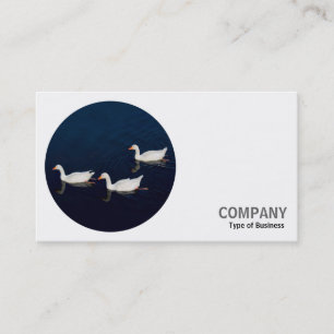 Round Photo - Emden Geese Business Card