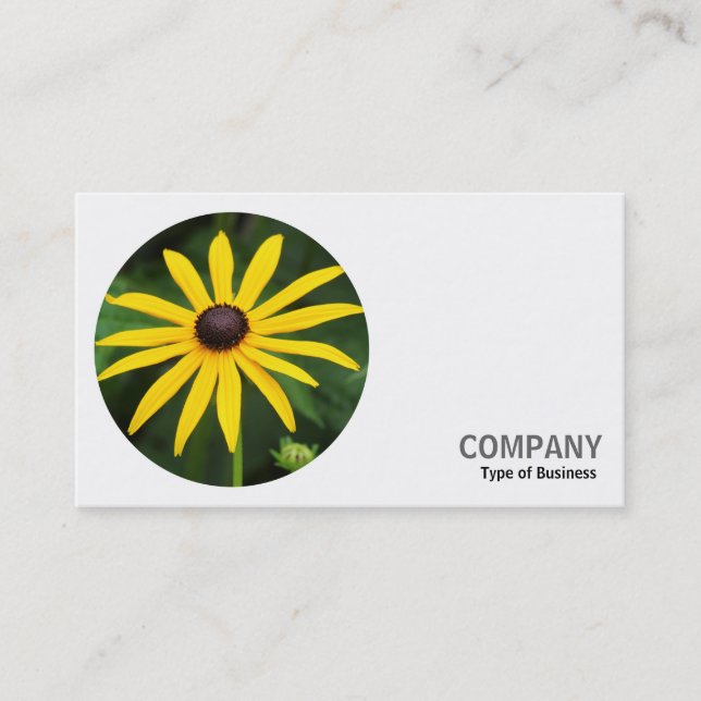 Round Photo - Rudbeckia hirta Business Card (Front)