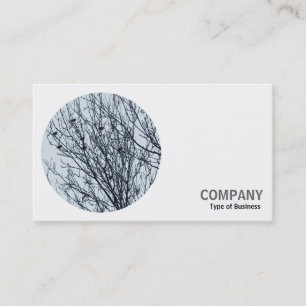 Round Photo - Starlings in a Tree Business Card