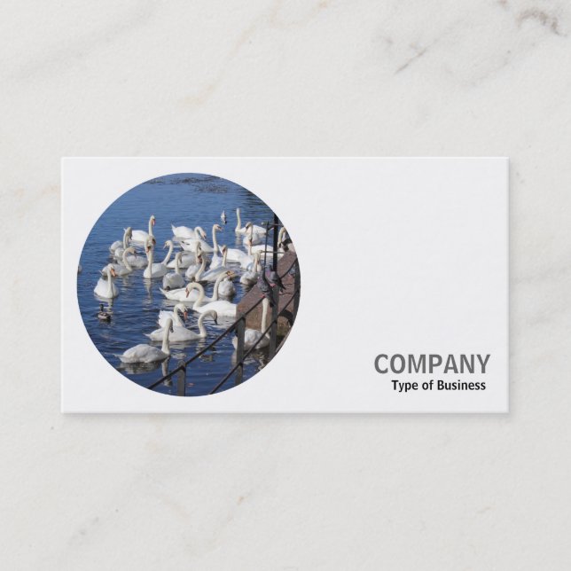 Round Photo - Swans Business Card (Front)