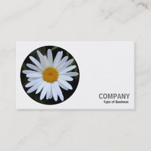 Round Photo - White Daisy 01 Business Card