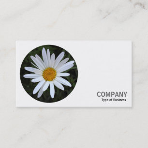 Round Photo - White Daisy 03 Business Card
