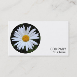 Round Photo - White Daisy 04 Business Card