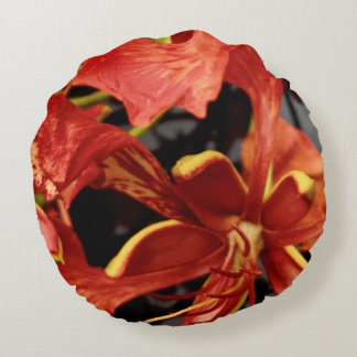 Round Pillow Royal Poinciana Flower