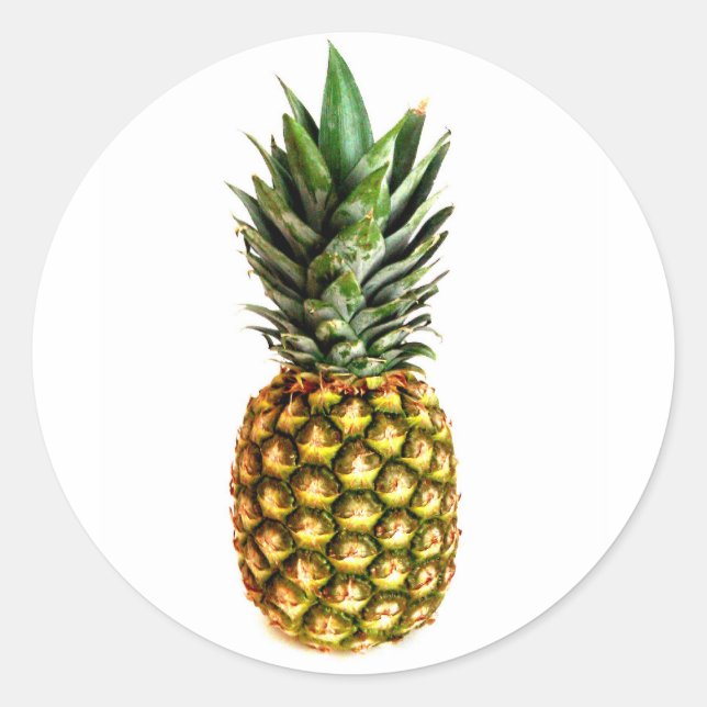 Round pineapple stickers (Front)