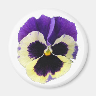 Round Purple and Yellow Pansy Magnet