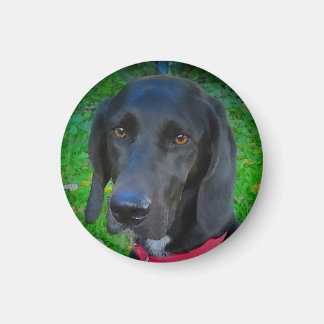 ROUND REFRIGERATOR MAGNET, BLACK LAB, GIFTS, PETS MAGNET