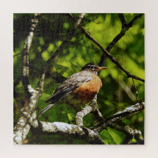 Round Robin Jigsaw Puzzle