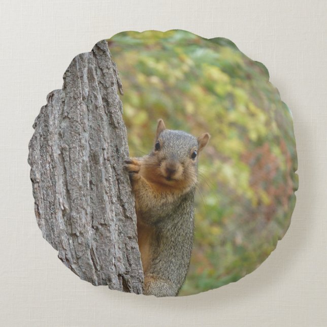 Round Squirrel Pillow (Front)
