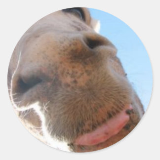 Round Sticker - Spike