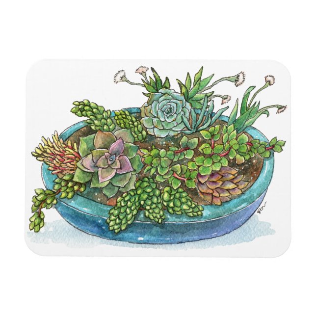 Round Succulent Garden Magnet (Horizontal)