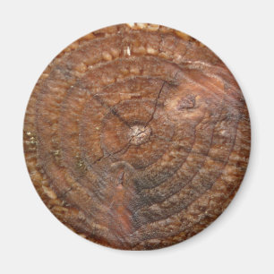 round tree ring magnet. magnet