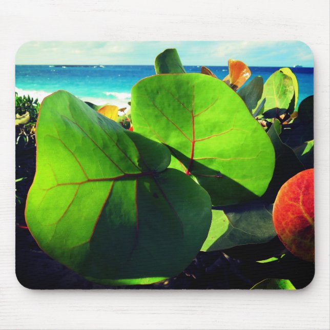 Round Tropical Leaves Mouse Pad (Front)