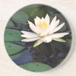 round waterlily sandstone coaster