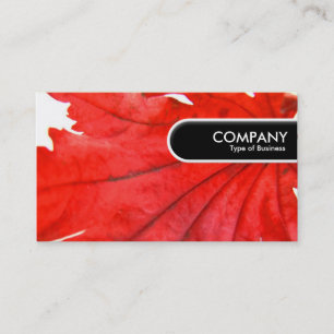 Rounded Edge Tag - Japanese Maple Leaf