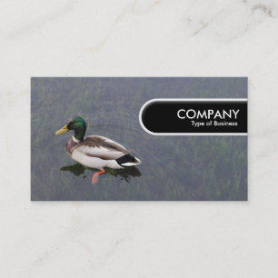 Rounded Edge Tag - Mallard Duck