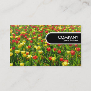 Rounded Edge Tag - Sea of Tulips II